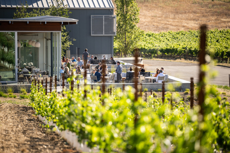 A winery tasting room as seen through grape vines