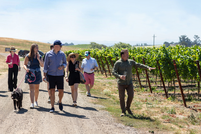 People hiking through vineyards